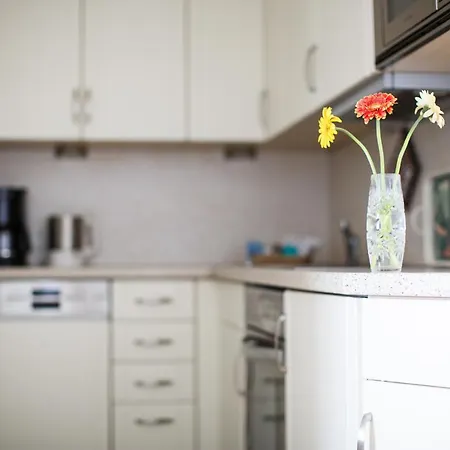 Haus Uthlande Uthlande Whg 22 Seeluft Апартаменты Вик-ауф-Фёр